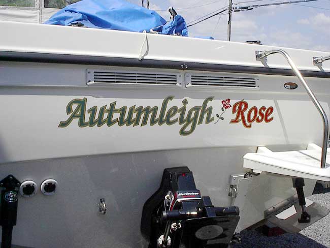 Autumleigh Rose